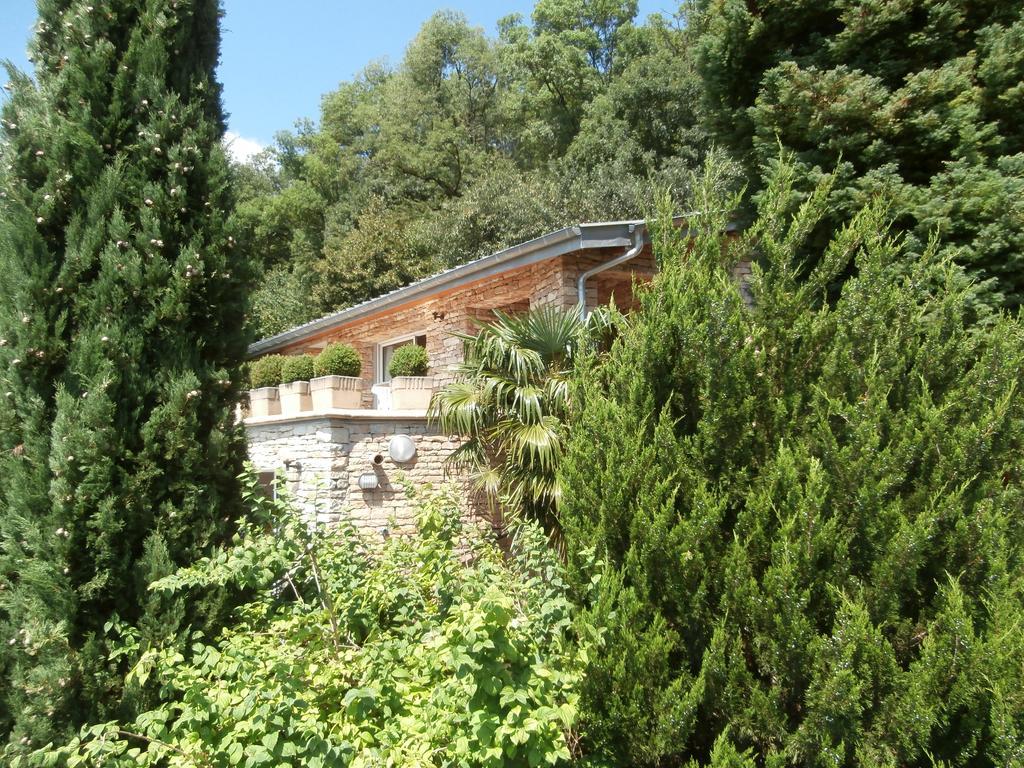La Villa Du Rhone Мирибель Экстерьер фото